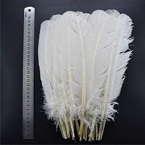 Zamihalla 20pcs/lote de faishas de faisão de ganso branco para artesanato pato pavão de pavão de frango penas de penas de decoração de casamento plumas-25-30cm 10-12 polegadas