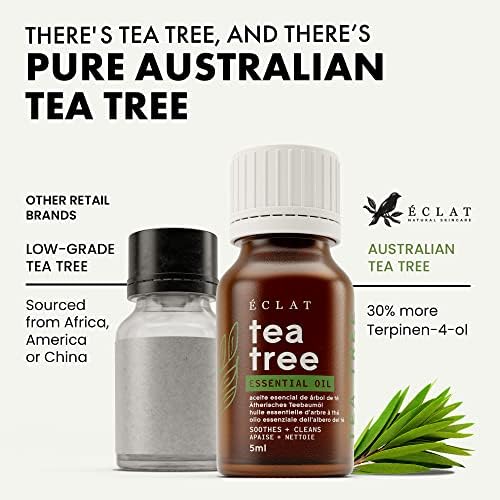 Óleo de árvore de chá puro - colheita à mão e vapor destilado na Austrália - puro e não diluído - sem enchimentos ou óleos transportadores - Dermatologista e Aromaterapia credenciados