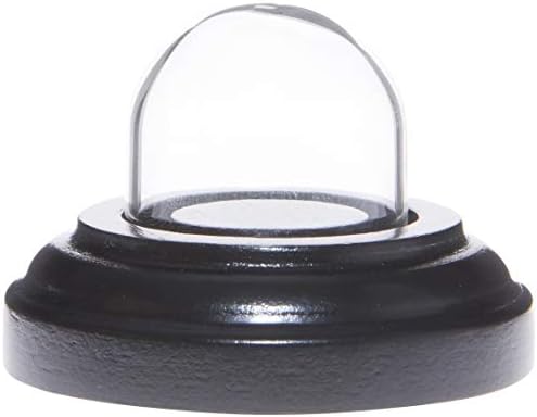 Plymor miniature 1 x 1 mini -vidro Dome Dome Tiny Cloche