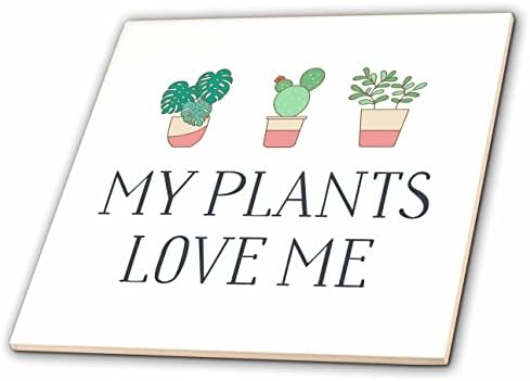 3drose evadane - ditados engraçados - minhas plantas me amam - azulejos