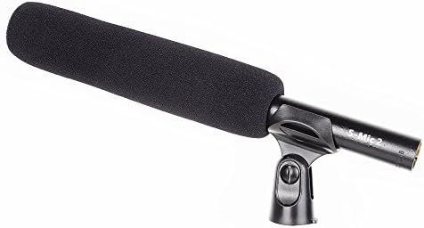 Microfones de Deidade S-Mic2: microfone de linha de trás; microfone de transmissão com microfone de espingarda direcional