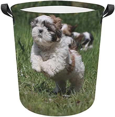 Foto de cães de cesta de lavanderia Foduoduo no cesto de lavanderia de pasta