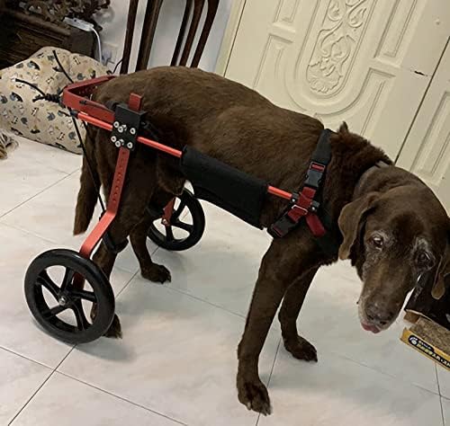Cão zxlx cadeira pequena pequena cadeira de rodas grande para reabilitação e pernas traseiras deficientes, cadeira de