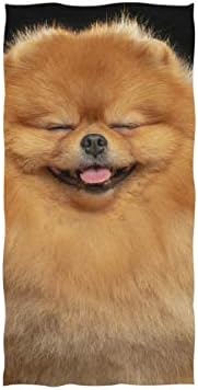 Alaza Microfiber Gym Towel Pomeranian Dog, Sort Sports Fitness Sweat pano de pano facial de 15 x 30 polegadas
