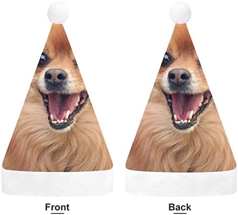 Capinho de cachorro pomeraniano chapéu de natal travesso e lindos chapéus de Papai Noel com borda de pelúcia e decoração