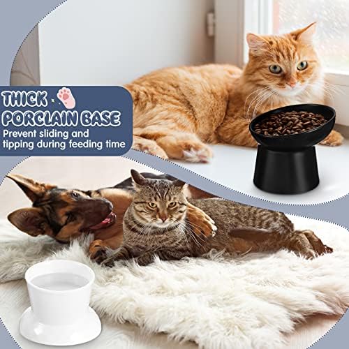 Tanlade 4 PCs Cerâmica elevada Gato Bowls Tilted Gato Bowl de gato estresse livre alimentador de animais de estimação