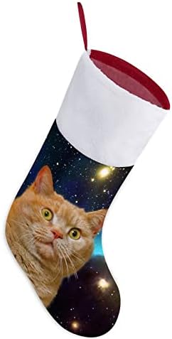 Star Cat Personalizou Christmas Stocking Home Chas Tree Fireplate Decorações penduradas