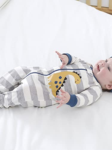 Gerber Baby menino Dinosaur Sleep 'n peças e banheiras de vegetais de frutas, 3-6 meses