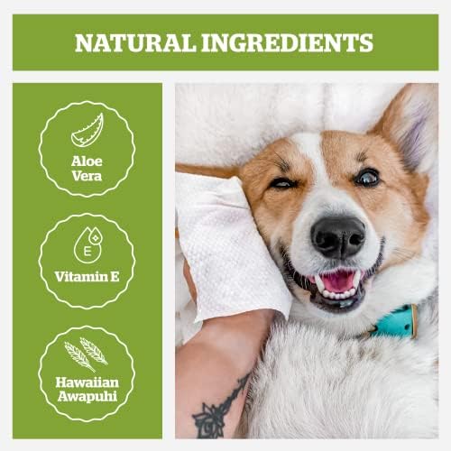 Limpos de cães de Pogi - 100 lenços de cachorro para limpeza e desodorização - lenços de estimação hipoalergênicos à base de plantas para cães, lenços de cachorro - lenços rápidos de cães para patas, bunda e corpo - fragrâncias grátis