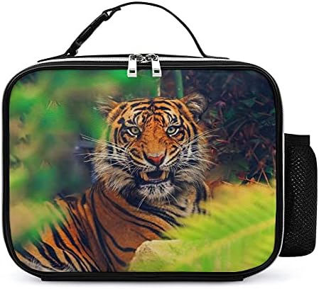 Tiger reutilizável almoço de bolsa de lancheira isolada recipiente para viagens de piquenique de trabalho com alça