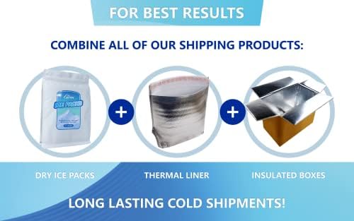 Thermo Chill Double Isolle Shipping Box com pacotes de gelo seco para enviar alimentos congelados, perecíveis, leite materno, carne,