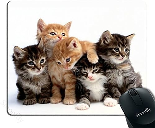 Smooffly Cats Mouse Pad para computadores, gatos da família Cats mouse pad