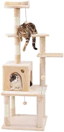 Zyswp Cat Kitten arranhando a árvore de posta