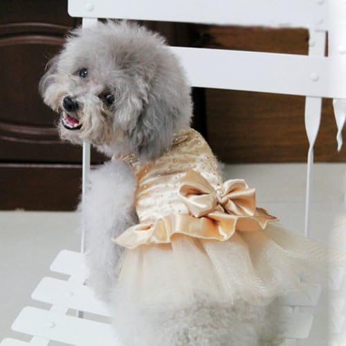 Xincy Pet Dog Lace Bow Tutu Vestidos de ouro M Gold
