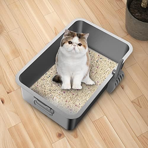 Caixa de areia de gato de gatinho Petsola Aço inoxidável com acessórios de bolsa Anti respingos resistentes à ferrugem As bordas arredondadas semi -fechadas simples a limpar, 50x35x10cm