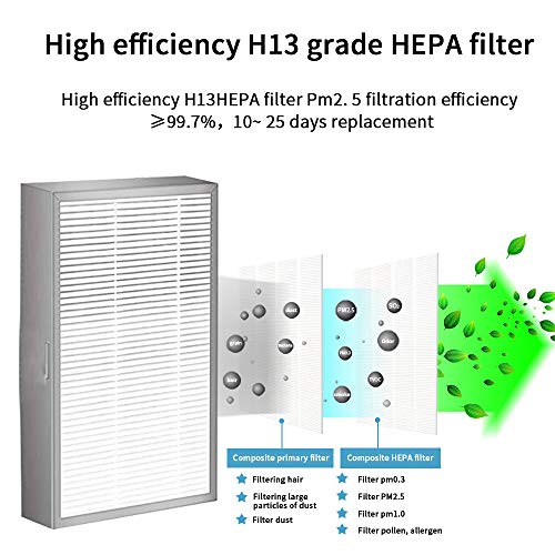 （2-PACK) filtro H13 HEPA, adequado para amplo AirPro Electrical Respirator, filtro Broad FB2 compatível