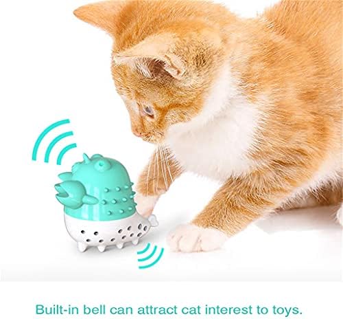 WZHSDKL CATOS INTERATIVOS Toy Toy Electric Pet Dente Ferramentas de limpeza