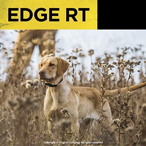 Dogtra Edge Rt Receptor adicional de longo alcance de alta saída de 1 milha à prova d'água de 3 cães de treinamento eletrônico remoto