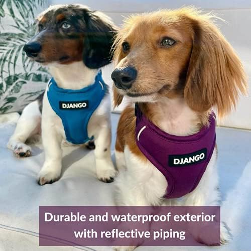 Django Adventure Dog Arnness - Confortável, durável e reflexivo, arnês de cães para aventuras ao ar livre e desgaste diário - design ajustável com hardware sólido de latão