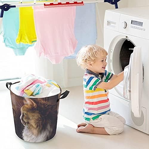 Foduoduo Roupa de cesta de cesta de gato cesto de lavanderia com alças Saco de armazenamento de roupas sujas dobráveis ​​para quarto,