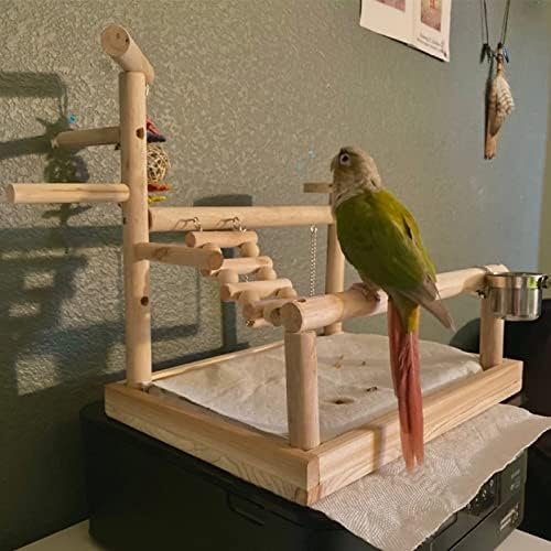 Peda de papagaio de estimação de pet stand com copo brinquedos de pássaro bandeja escalada de escalada pendurada ponte de madeira cockatiel playground
