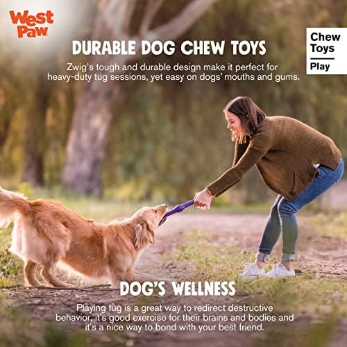West Paw Zogoflex Echo Zwig Squetyzy Dog Sticking Stick - brinquedo interativo saltitante, oco e mole para filhotes, cães
