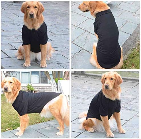 Lovelonglong Basic Dog Polo Camisetas Premium Cotton, camisetas pólo para cães pequenos médios grandes com um colarinho de dois