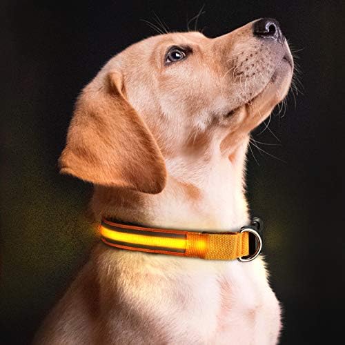 Colarinho de cachorro LED - colarinho de estimação iluminado, 3 modos piscantes, brilho no escuro - melhorou sua segurança e visibilidade de animais à noite