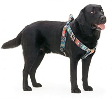 Arnês de cachorro grande e conjunto de trela, belo padrão de filhote de cachorro de cabeceira de cachorro de cachorro para câmara