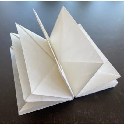 Yasutomo Unryu Paper Roll 11 x 60 '
