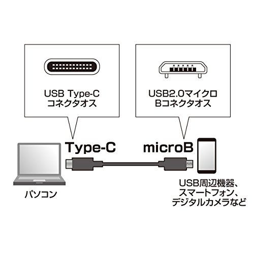 Sanwa Supply Ku-CMCBP310 USB 2.0 Tipo C para Micro B Cabo, 3,3 pés