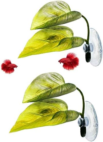 MBODM Betta Fish Leaf Hammock, 2pcs Betta Fish Leaf Bed Plant Plave Flel Phish Pasta