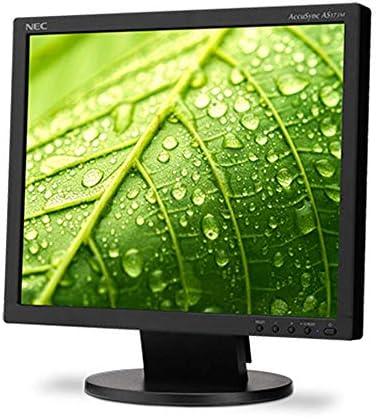 NEC AS173M-BK 7 Monitor de desktop de valor com luz de fundo LED, preto