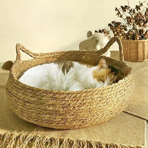 MyCense Scratching Cat Bed com acessórios de almofada removível Sofá portátil Four Seasons Scratcher de gato confortável para o