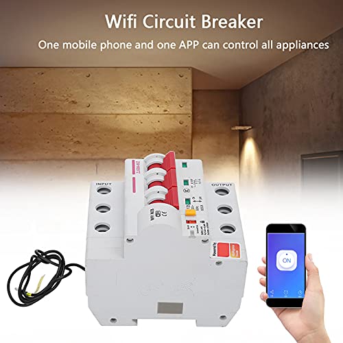 AC220V Smart Wi-Fi Disjuntor de circuito miniaturas disjuntor PA66-DSM Flame retardante Suporte de shell Wi-Fi Mobile App Control