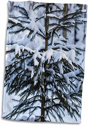 3drose linda árvore de abeto elegante coberto de neve no inverno - toalhas