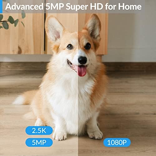 Acculenz 5mp HD Câmera de animais de estimação Indoor 2,5k, 2,4 GHz Câmera WiFi para Segurança em casa 360 ° PAN TILT com