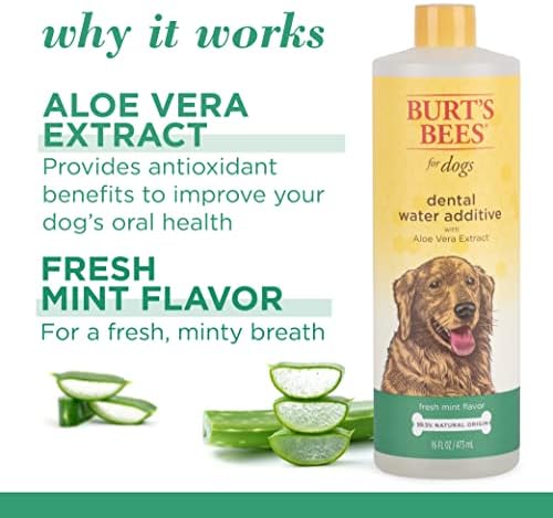 Burt's Bees for Dogs Training Dog Dental Water Aditive com extrato de aloe vera, 16 fl oz | Aditivo de água para cães com sabor