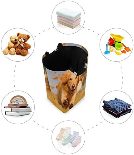 Alaza Dog Golden Retriever Autumn Leaf Cesty cesto cesto grande caixa de armazenamento com alças para cestas de presentes, quarto,