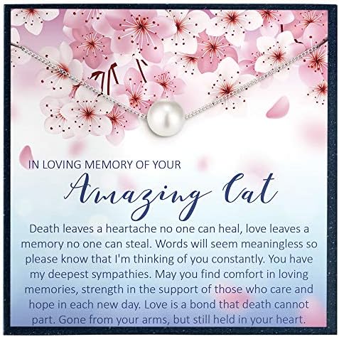 Em memória amorosa do presente de gato para presente memorial de gato para gato que passa presente presente de gente de gent