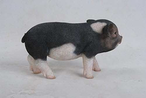 Hi-Line Gift Ltd Marrom escuro porco bebê, 5
