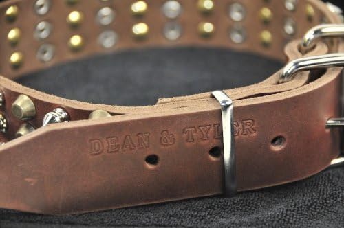 Dean e Tyler 3+3, colar de cachorro de couro com níquel pesado e hardware de latão-marrom-tamanho 20 polegadas por 1-3/4 polegadas-se encaixa no pescoço de 18 polegadas a 22 polegadas