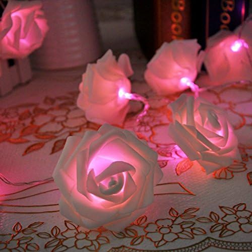 NPLE-20led Rose Flower Fairy Wedding Garden Party Christmas Decoration String Lights （Rosa）