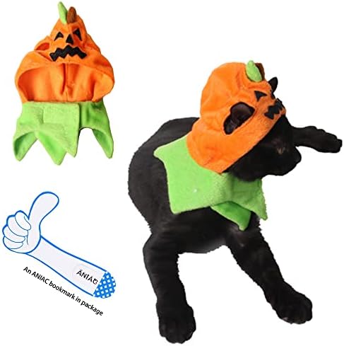ANIAC Pet Halloween fantasia Cat Cat Fumpkin com cachorrinho de cachorros Capacete quente Bunny Cabeça Acessórios e gravatas para gatos laranja