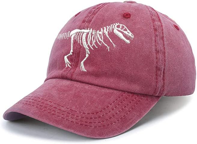 Lokidve Men Women Women Dinosaur Hat Hat Bordado T-Rex Skeleton Baseball Cap