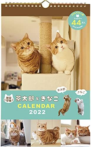 GAKKEN STA: FULA CHARARO TOKINAKO 2022 CALENDAR, TARPETOP M09097