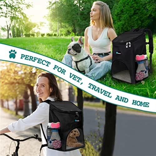 Mochila Petami Premium Pet Transport para pequenos gatos e cães | Design ventilado, alça de segurança, suporte de fivela | Projetado para viagens, caminhadas e uso ao ar livre