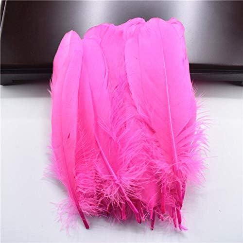 Zamihalaa Hard Stick Feathers naturais de ganso para roupas 5-7 /12-18cm Feathers para jóias que produzem acessórios para decoração