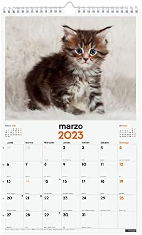 Finocam - Calendário 2023 Imagens de parede em espiral para escrever janeiro de 2023 a dezembro de 2023 Kittens Spanish