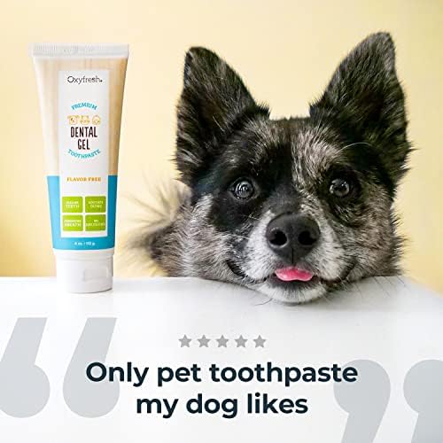 Oxyfresh Premium Creto de dente para cães e escova de dente - Melhores dentes de cachorro Cleaning e Plaquing Dog and Tartar Fighter